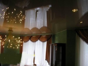 الأسقف الفرنسية2014جبسيات