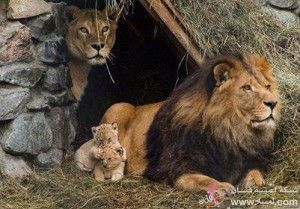 قصة حب وحكمة رائعة .. تابعها هنا ..