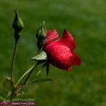 أجمل صور الطبيعة من ماخلق الله