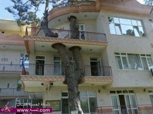 غرائب البناء