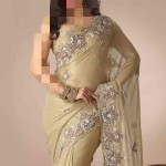 سااري هندي فخم 2014