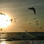 اجمل صور للطبيعة  , صور طبيعية رهيبة 2014 , صور الشروق والغروب