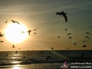 اجمل صور للطبيعة  , صور طبيعية رهيبة 2014 , صور الشروق والغروب