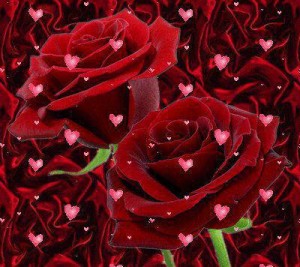 صور ورود طبيعيه 2014،   2015