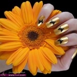 احدث نقشات للاظافر , اشكال نقش جميل عالاظافر , رسم الاظافر2014