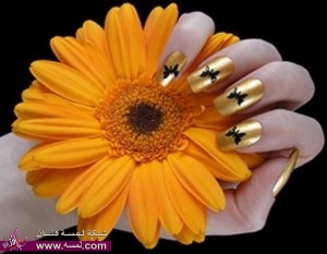 احدث نقشات للاظافر , اشكال نقش جميل عالاظافر , رسم الاظافر2014