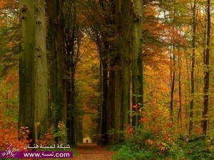 اروع خلفيات للطبيعه لعام 2015 – صور طبيعه متميزه للشاشه 2014 – أحلى الصور للطبيعه