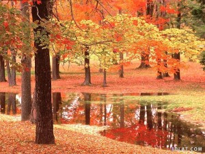 صور من الطبيعه الخلابه 2014خلفيات رائعه طبيعيه صور طبيعيه 2015 غايه الجمال