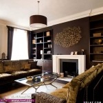 دهانات حوائط بنى  دهانات باللون البنى  ألوان جدران بنى