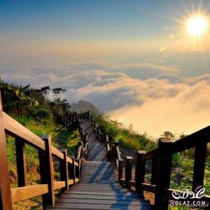 صور طبيعية ولكنه تبدو خيالية وغير واقعية من شدة روعتها وجمالها 2014