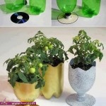 افكار لاستغلال الازايز الفارغة بكل اشكالها