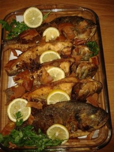 سمك دنيس مقلي