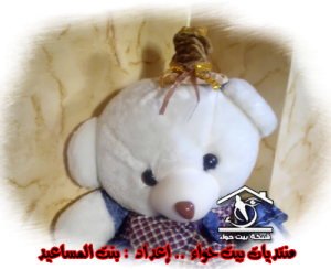 كيف تسوين قبعة جديدة للدبوب بتاعك .