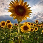 مناظر من الطبيعة الخلابة 2014 – مناظر تسحر 2015 – سبحان الله مناظر من الطبيعة الخلابة 2014 – مناظر تسحر 2015 – سبحان الله