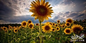 مناظر من الطبيعة الخلابة 2014 – مناظر تسحر 2015 – سبحان الله