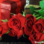 خلفيات فوتوشوب ورد احمر عاليه الجوده للتصاميم الرومانسيه 2015