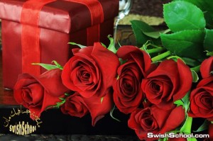 خلفيات فوتوشوب ورد احمر عاليه الجوده للتصاميم الرومانسيه 2015