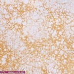 اروع دهانات جدران 2014 دهانات مختلفة 2015