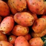 فوائد ثمار الصبر(التين ) فوائد ثمار الصبر(التين )