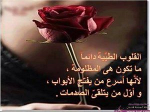 القلوب الطيبة هي اول من تتلقي الصدمات