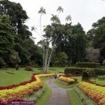 مناظر طبيعية مريحة وجميلة