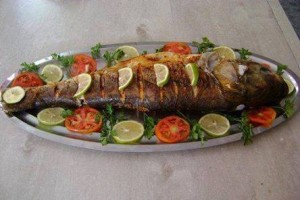 سمكة كبيرة للشوي