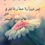 علاج الجاهل التجاهل علاج الجاهل التجاهل