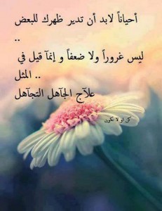 علاج الجاهل التجاهل