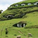 صور رائعه من نيوزلندا2014