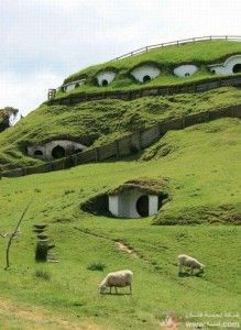 صور رائعه من نيوزلندا2014