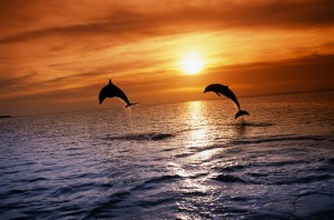 اجمل مناظر 2014 خلفيات 2014 صور غروب الشمس صور شروق الشمسبجودة HD