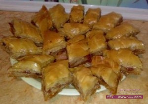 طريقة عمل الجلاش