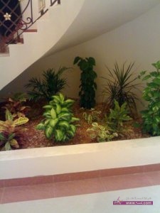 6c0903096ce8149bd570fc9535adb07b