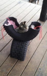 c2167e0b5290fd42f8cafe9aacd86f98