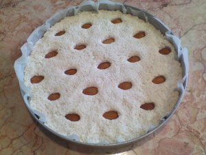 بسبوسة سعودية 2015 -2016