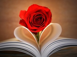 صور اجمل جميلة HD