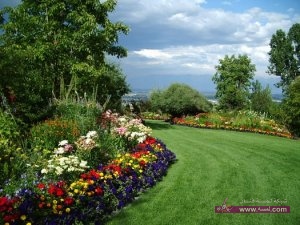 صور ديكورات حدائق اكثر من رائعة للبيت 2015