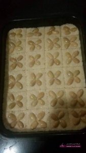 بسبوسة جوز الهند