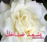 اجمل الصور الصباحية و المسائيه