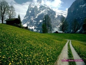 اجدد صور الطبيعه اجمل صور الطبيعه