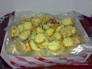 البتي فور الهش