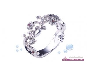 اكسسوارات ستايلش 2015صور خواتم ناعمه 2014 احلى خواتم رقيقه 2015 خواتم رقيقه للبنات 2015