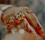 صور حنه للرجلين واليدين 2015 صور حنه للرجلين واليدين 2015