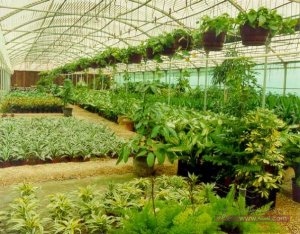 صور مشاتل زراعية روعه