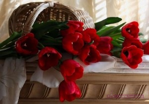 صور ورود 2016 صور حب روعة 2017  رومانسيه