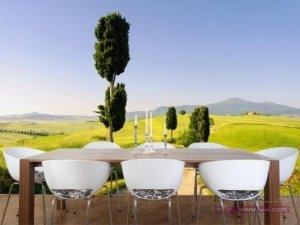 ديكور جدران 3d ورق الحائط الحديث ديكور ورق الجدران 2016اشكال لورق الحوائط تصميم ورق