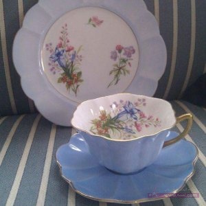 12994506_1792280797672767_5896824554776712277_n