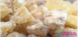 فوائد اللبان الذكر