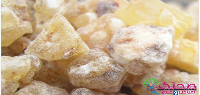 فوائد اللبان الذكر فوائد اللبان الذكر