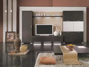 luxury-classic-living-rooms-with-shag-rug-and-black-wooden-coffee-table-interior-remodelling-living-room-with-brown-interior-living-room-and-tv-shelves-interior